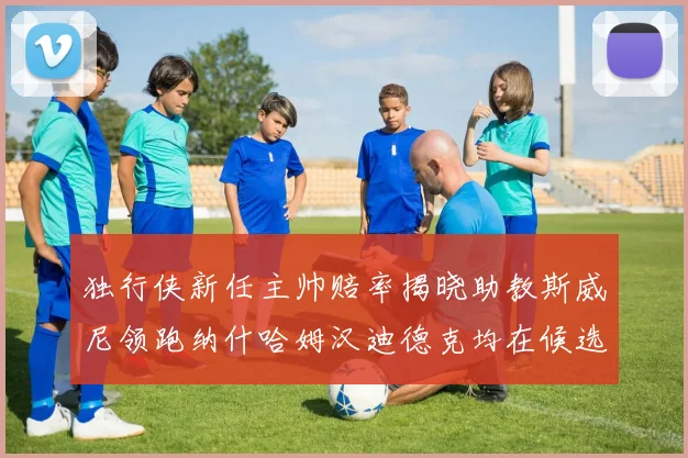 独行侠新任主帅赔率揭晓助教斯威尼领跑纳什哈姆汉迪德克均在候选之中
